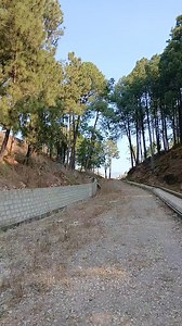 --- 🏡 3 Kanal Plot For Sale – Main Tarhana Road, McDonald’s ke Bilkul Samne 📍 Prime Front Location 🚗 Front & Back Dono Sides Road Access 🌄 Beautiful & Open View 📌 Multiple Plot Options Available: • 10 Marla • 15 Marla • 1 Kanal ✨ Best for Commercial & Residential Investment 📑 Registry Intiqal Possible 💰 Demand: 7 Lac 50 Hazar / Marla (Negotiable) 📞 Rabta: SMART PROPERTY – 0333-1331313 | Smart Property