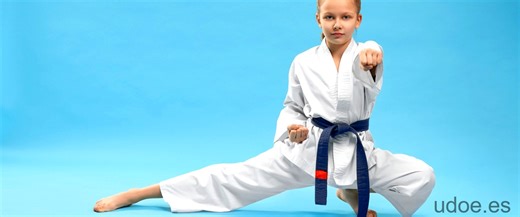 Descargar Karate Kid por torrent: La mejor opción para ver la película de 1984 - UDOE