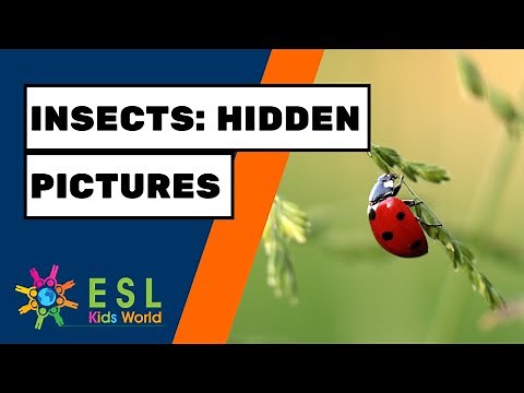 🐛Insects Hidden Pictures Game | Find Insects for Kids Education