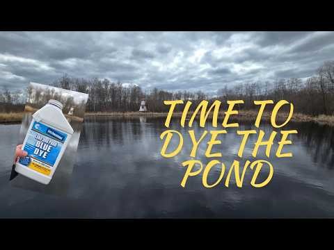 Pond Dye: Better Views - Less Weeds