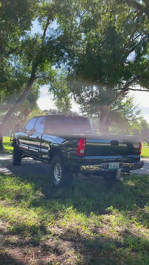 Ranch hand or stock bumper? #cateye #ranchtruck #fyp #ford #dodge #fypシ #ranchand #SoFiMoneyMoves