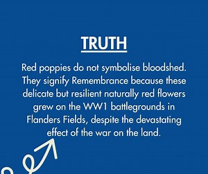57K views · 1K reactions | Have you fallen for any of these poppy myths? In the age of fake news it can be easy to fall foul. After a century as the worldwide symbol of Remembrance, the meaning behind the poppy can sometimes get a little lost in translation. So help us do some de-mystifying. Spread the word by sharing these myth-busters, and help us protect the real meaning of the red poppy. | Royal British Legion | Facebook