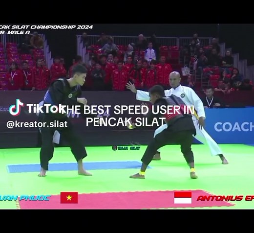 Mastering Pencak Silat Techniques and Sparring