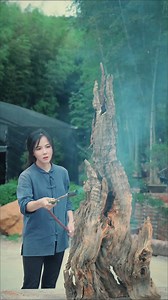 From deadwood to lush life | Witnessing a tree's rebirth #deadwood #TheRebirth #chineseculture #CulturalHeritage #handmade | Videoslia