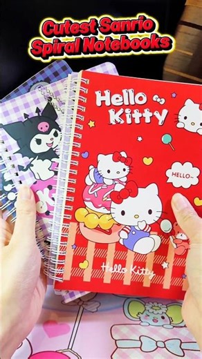 Which Sanrio Notebook Would You Choose? 🩷 #sanrio #kawaii #stationery