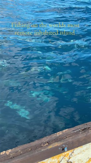 Fishing Adventures on Tristan da Cunha