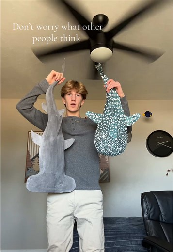 Go watch the tutorials! #shark #ocean #fyp #whaleshark #marinebiology