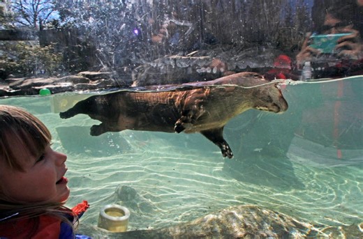 From WaterFire to Roger Williams Park Zoo, here are 5 things to know about Providence