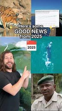 Good News from 2025 you might have missed!