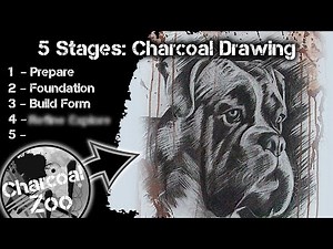 5 Stages of Charcoal Drawing | Step-by-Step Boxer Dog Portrait Art Tutorial
