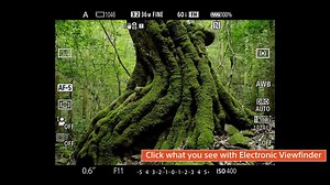 1.8K views · 120 reactions | Shoot better and faster with the...