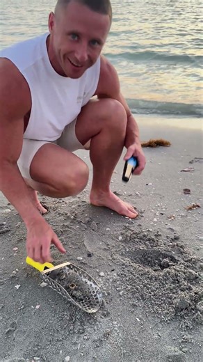 Found a Ring on the Beach… 💍 (Unbelievable!)