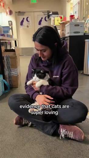 Setting the Record Straight on Friendly Cats