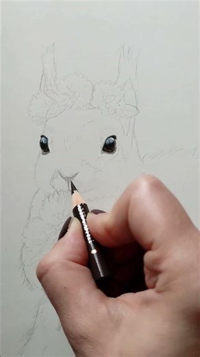 Starting With the Eyes 🐿️✨ Colored Pencil Process