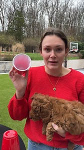 20K views · 98 reactions | Fun Family Game! | Big House Games | Facebook