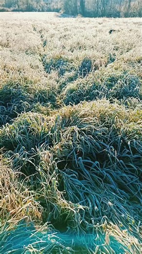 buongiorno amici di passione ❣️