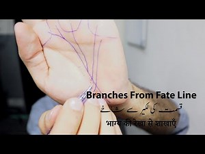 How to Read Fate Line? | Palmistry | Episode 4: Branches From Fate Line