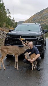 Animals' Warning Signals to Humans #animals #rescue #dog | 𝑳𝒂𝒃𝒆𝒓𝒊𝒏𝒕𝒐𝒔 𝒅𝒆𝒍 𝒕𝒊𝒆𝒎𝒑𝒐