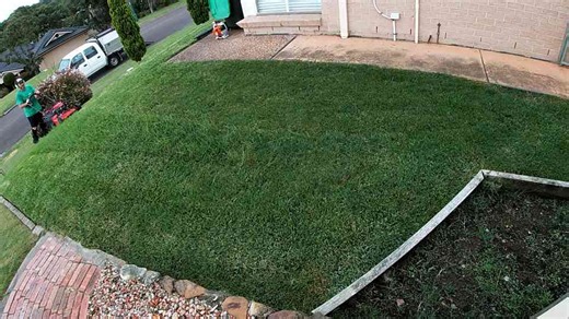 Lawn Mowing and Yard Cleanup – High-Precision Outdoor Maintenance