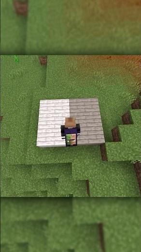 The New Gray Minecraft Wood 🩶