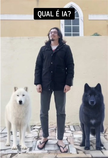 O verdadeiro Lobo: Descubra quem é!