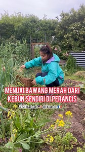 222K views · 3.8K reactions | Stok berbulan-bulan biasanya sampai...