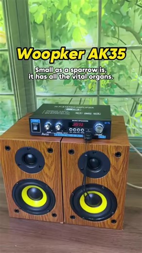 Compact Stereo Amplifier for Home Audio Setups