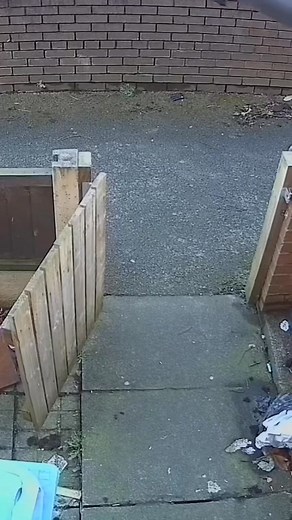 Well that’s one way to say it 😡 | All Well