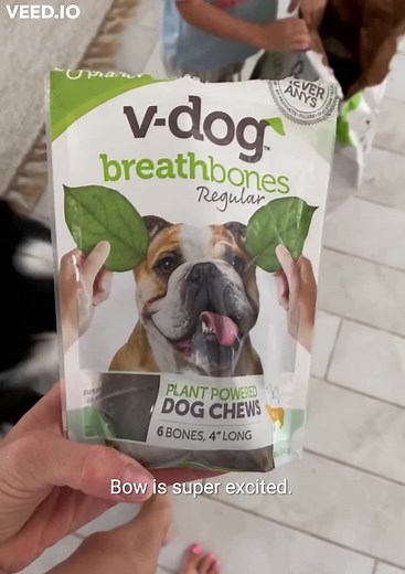 3.7K views · 127 reactions | Does your pup need to go vegan? At...