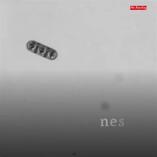 #robotics #automation #science #nanotechnology #biorobotics #medicaltech #molecularbiology #futureofmedicine #medicalanimation #3danimation #biology #healthcareinnovation | Muhammet Furkan Bolakar