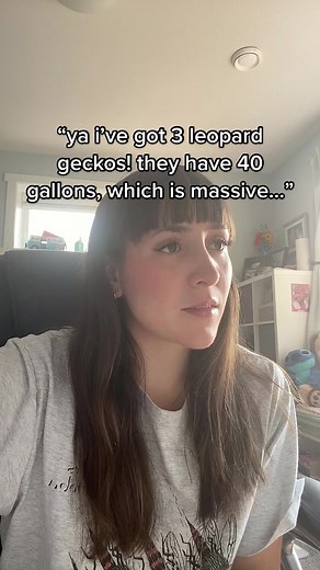 cohabitation regardless of gender is not okay or beneficial to the animals in anyway! #reptilesoftiktok #reptile #reptilemom #reptiles #reptiletiktok #reptilekeeper #reptilelover #reptilekeepers #reptilecare #leopardgeckosoftiktok #leopardgecko #cohabitation #reptilecohab #reptilecohabbing