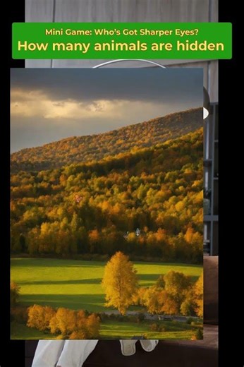 Spot the Hidden Animals Prove You re the Best at This #866 #AnimalHunt