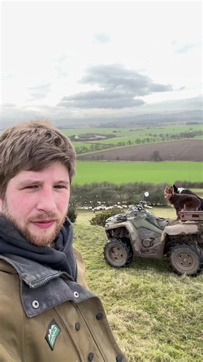 Understanding Round Pen Training for Trail vs. Farm Dogs