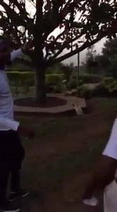 367K views · 4.8K reactions | We found Jamaicans in Africa Ghana  my people is everywhere | Kranium | Facebook