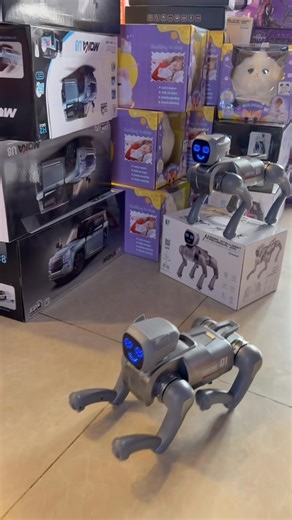 🤖 ឆ្កែយន្តAI new stock 🤣😄 មាន ការ បញ្ជា ហើយសប្បាយខ្លាំង” ៗ 🔥🥳 admins សាកហើយចង់តែសើច មិន ចាញ់តម្លៃ រាប់រយទេ🥰🥰 available in stock ✌🏻🐩 | Best Toys Cambodia