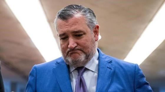 Sen. Ted Cruz plans to introduce bill codifying protections against government censorship: WSJ