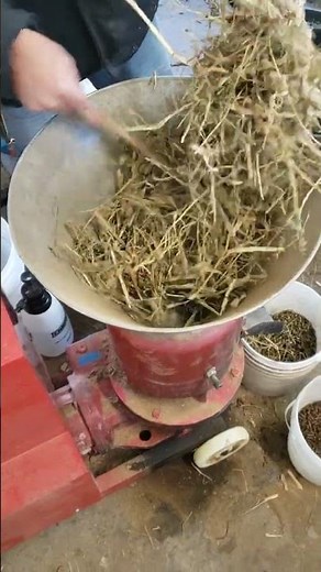 Straight Alfalfa Hay - 6mm Pellets