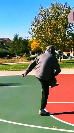 #fypシ #theprofessor #anklebreaker #showfreestyle #basketball #ballislife