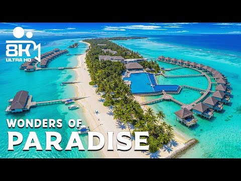 Wonders of Paradise Island – Discover White Sands and Crystal Waters | 4K Travel Video
