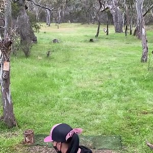 1.5K views · 26 reactions | "The Innova Discs leopard  such a...