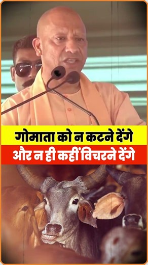 CM Yogi On Gau Mata: गोमाता की सुरक्षा पर CM Yogi का बड़ा संकल्प #shorts #viralvideo