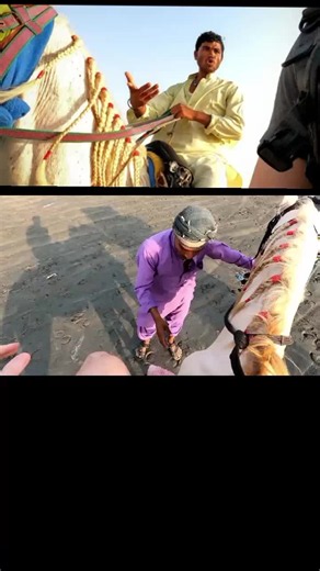 Avoid Horse Ride Scam in Karachi Pakistan — How to Protect Tourists