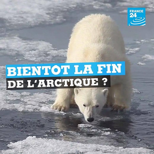 🌍 Un phénomène inquiétant se déroule actuellement dans l’Arctique… La plus vieille et plus épaisse couche de glace a commencé à se briser Bientôt la fin de l’Arctique ? | FRANCE 24
