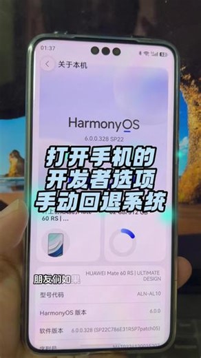鸿蒙6手动回退系统要打开开发者选项回退 #数码科技 #系统回退 #鸿蒙6 #mate60RS #手机数码