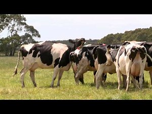 Heat Detection for Australian Farmers