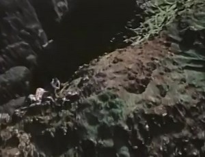 The Lucifer Complex (1978)