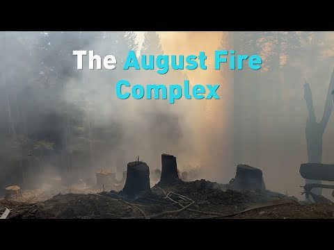 August Complex- The largest fire in California’s history