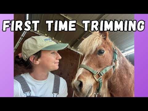Trimming a Neglected Pony's Hooves