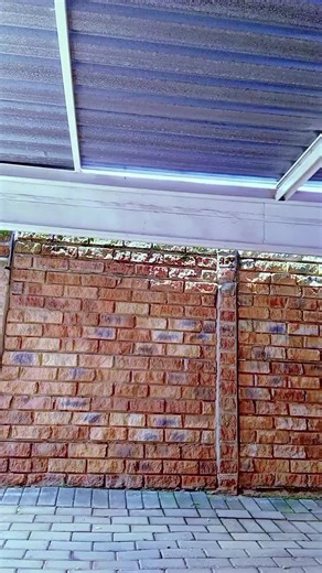 Mthoko (@mthoko.com2)’s videos with original sound - Dumisani nkosana snoya🦍🇿🇼