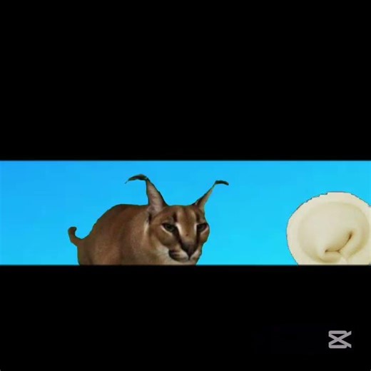 подпишись:3